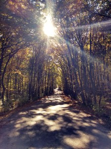 IMG_20151022_120512752_HDRpsr1j01