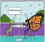 15841528_10154926382900742_1165781558_n